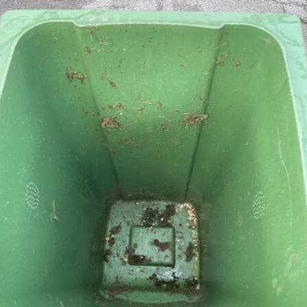 Bin Clean Before