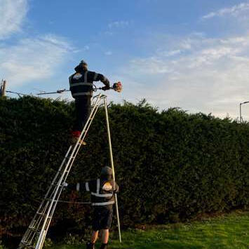 Hedge Cutting